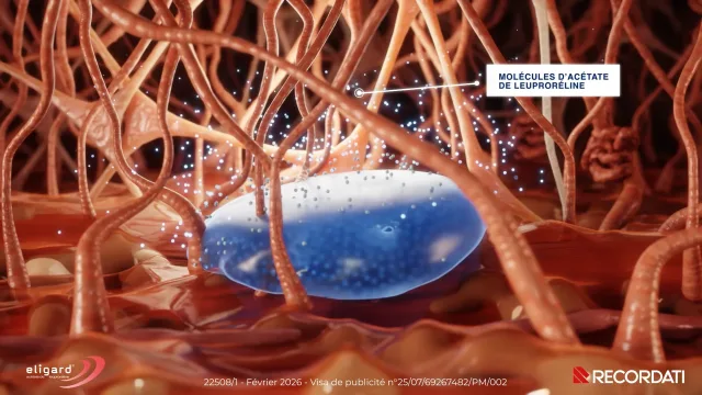 Film d'animation 3D — Recoredati eligard