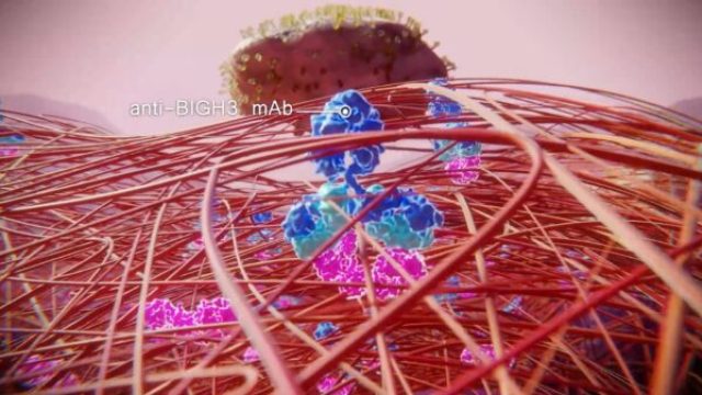 Film d'animation 3D — StromaCare