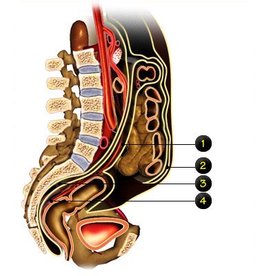 chirurgie digestives coupe 5