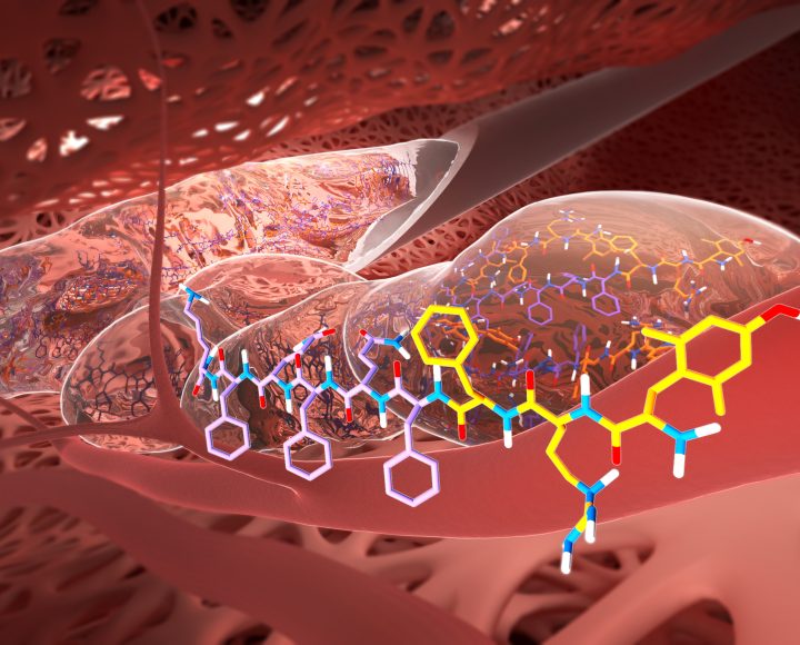 Illustrations scientifiques